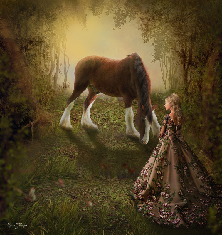 Прогулка 2 подпись