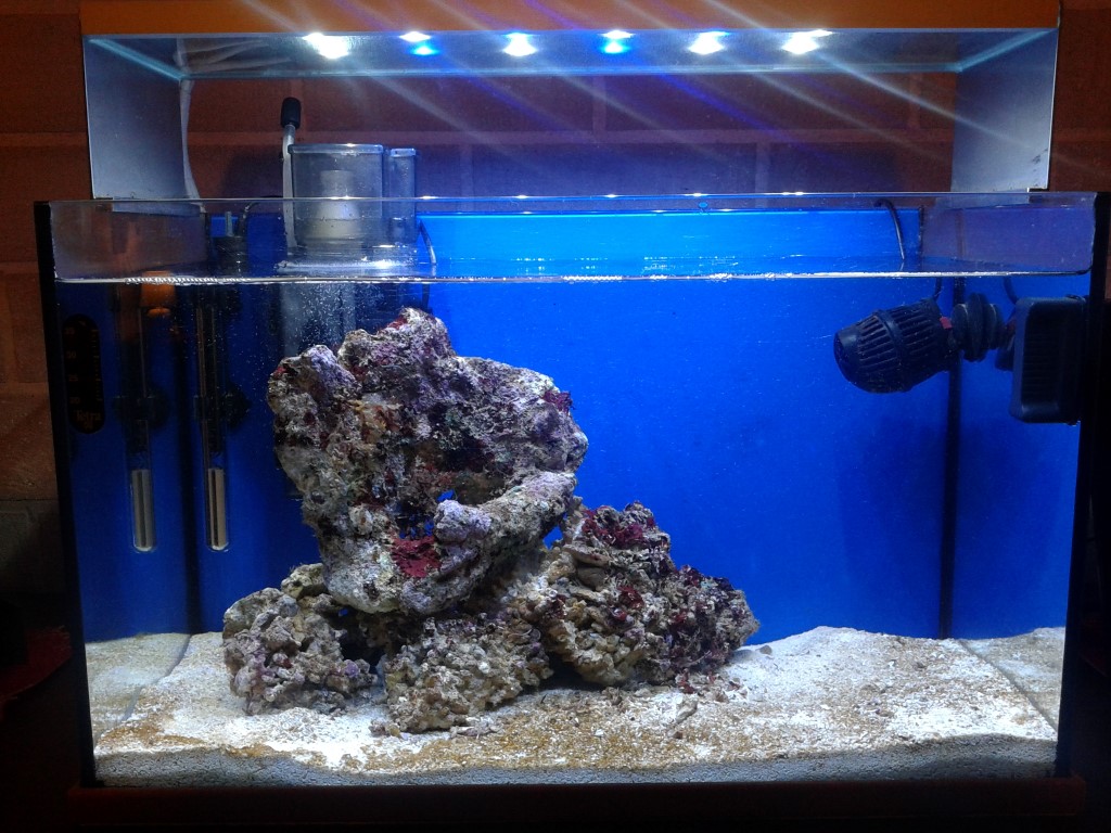 20131212_231652 (Medium)