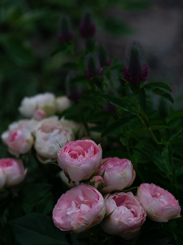 IMG-94a4a241939d84b842f4b005e2ec66b9-V