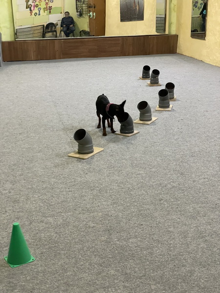 https://i.postimg.cc/yN8nyFzn/IMG-8514.jpg