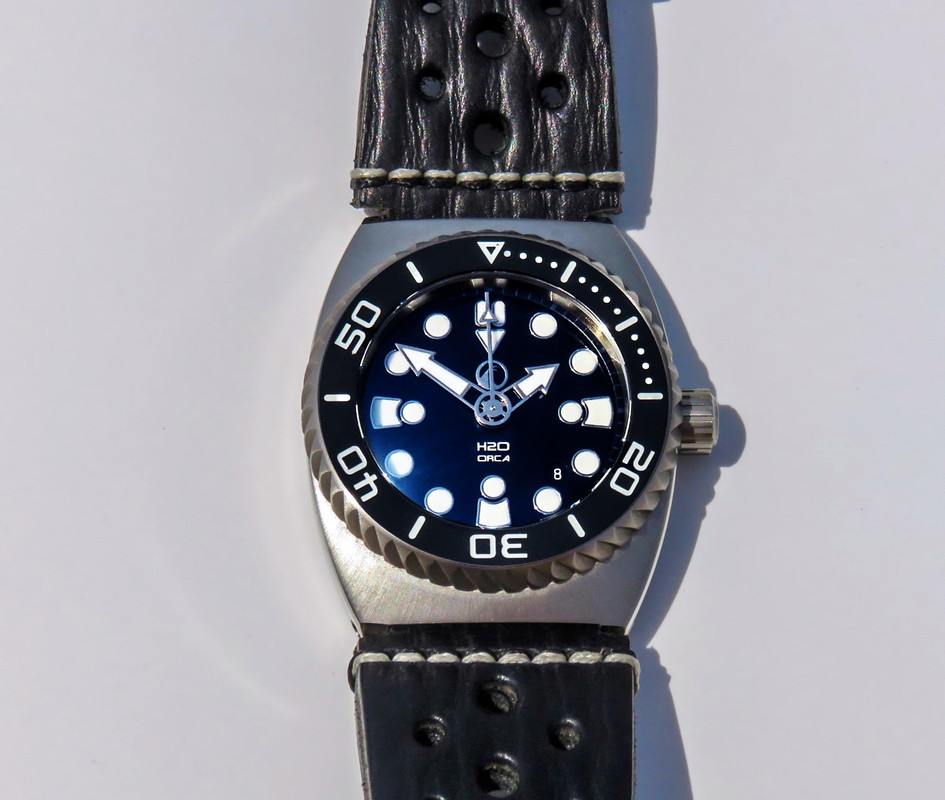 IMG_8201_1 [1600x1200]