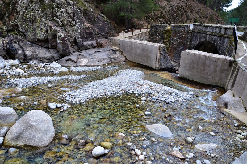 EL CHARCO VERDE-7-2-2015-AVILA - Paseando por España-1991/2016 (4)