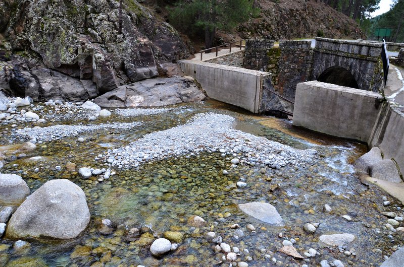 EL CHARCO VERDE-7-2-2015-AVILA - Paseando por España-1991/2015-Parte-1 (4)