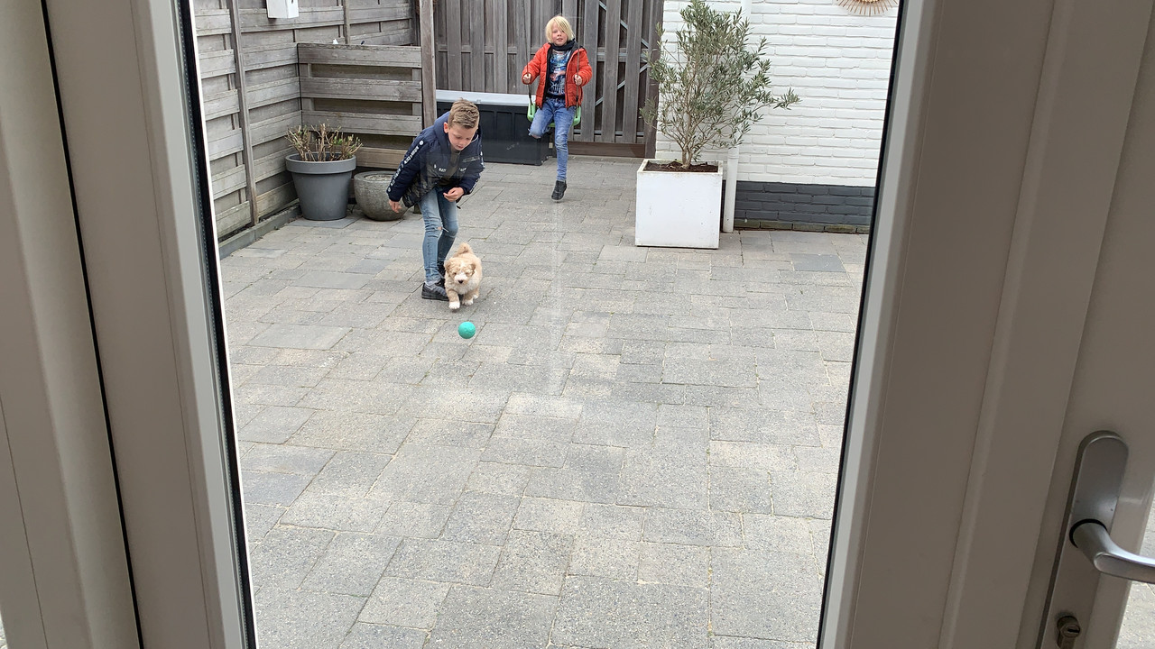 B28E36D7-5C76-4F96-935E-82020D219CCE