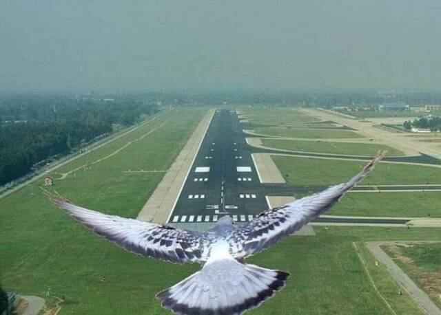 picdump-kw25-2023-057.jpg