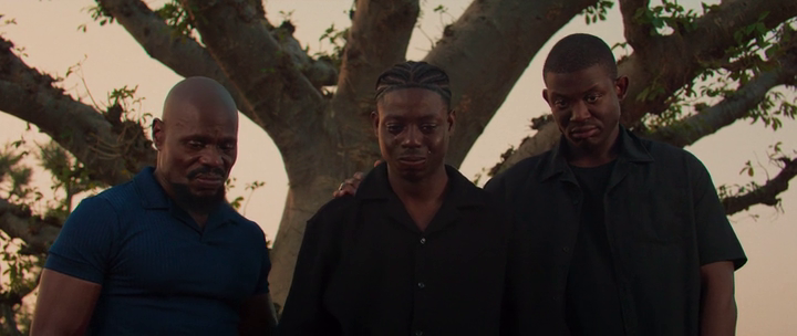 vlcsnap 2026 03 08 15h34m13s375