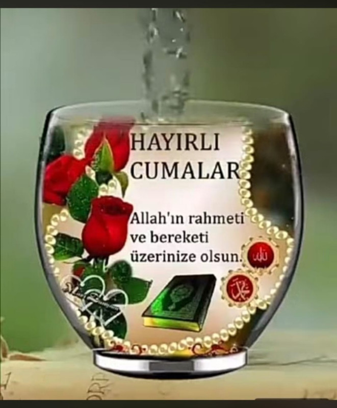 IMG 20260918 074817