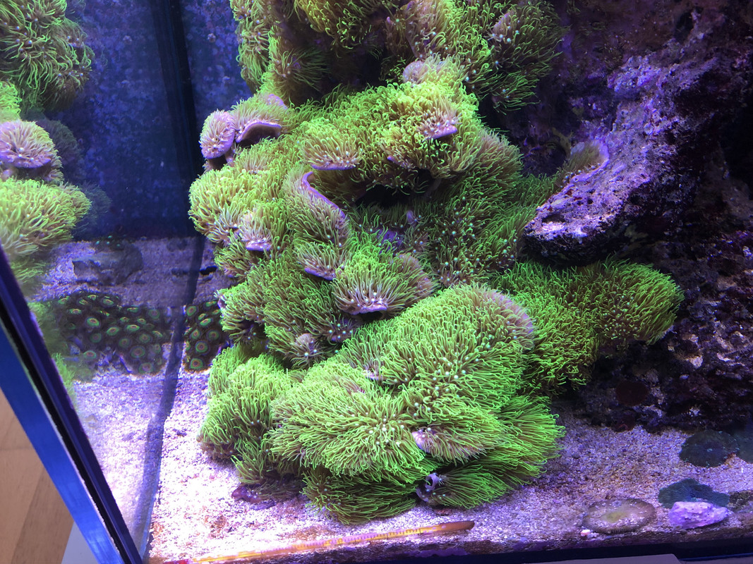 44DCBD08-9673-45EF-AFA3-61C06C57F818