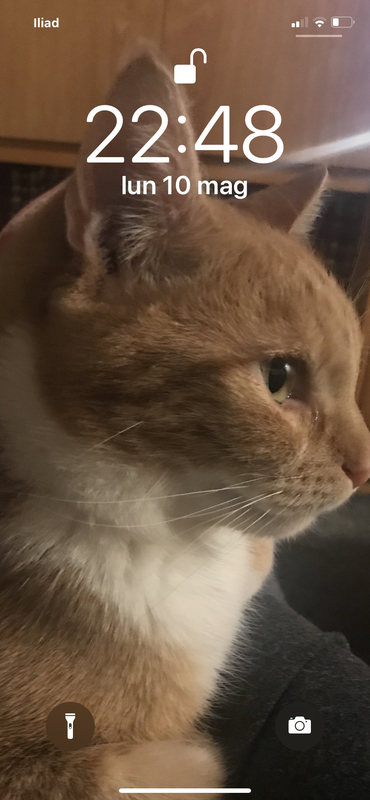 B32193E1-A295-4425-80E1-DACD37AA3FD4