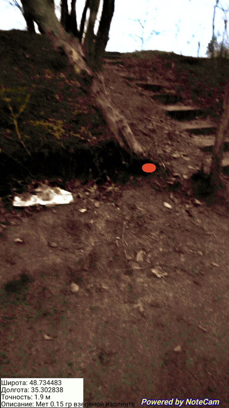 photo 1 2025 11 13 10 37 06