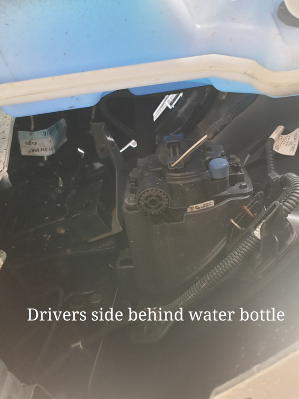 20191020_131856 faros antinibla