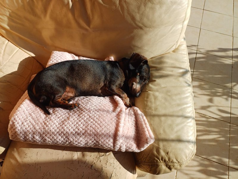 [Image: IMG-20240307-WA0000.jpg]