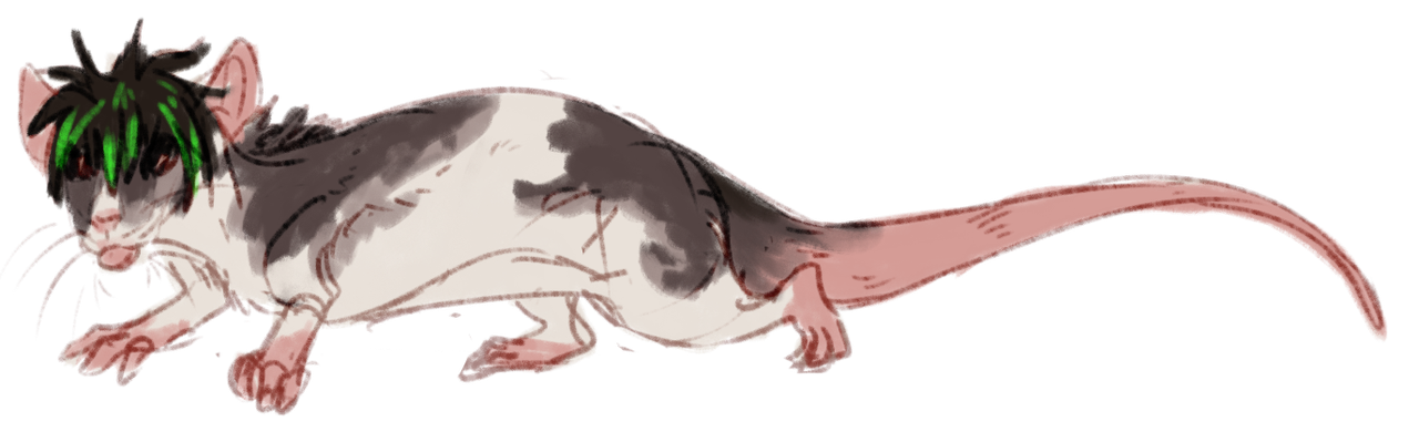 Rat.png