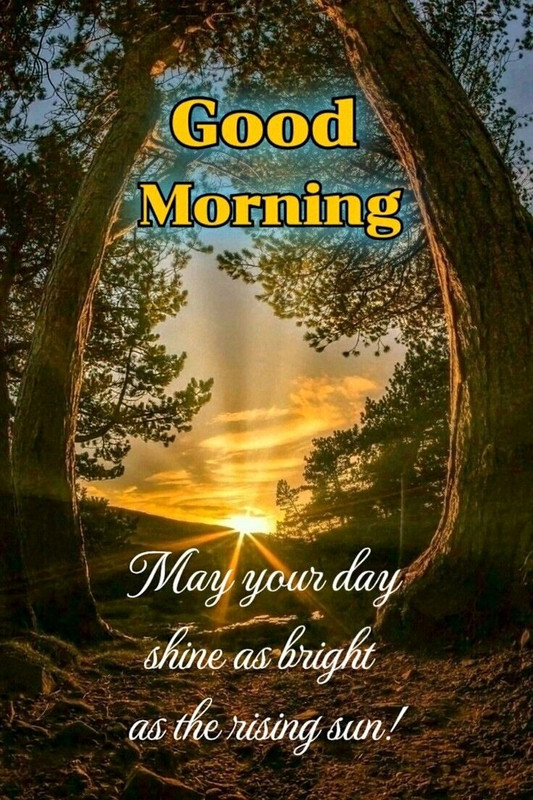 download - 2025-10-11T071710.902