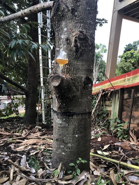 47C23DB8-879B-4AC6-A738-2620DE5ECEBF