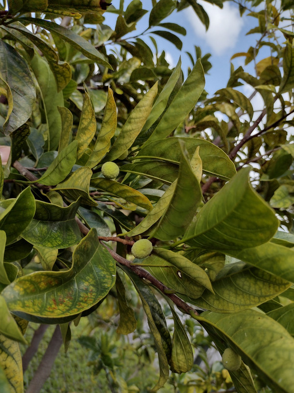 IMG_20220422_164913063_HDR