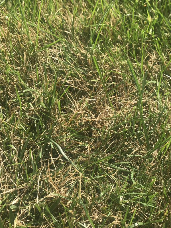 06920170-36C9-4501-B91F-D4B96A7E931F