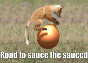 ezgif-2-bb102af471ef.gif