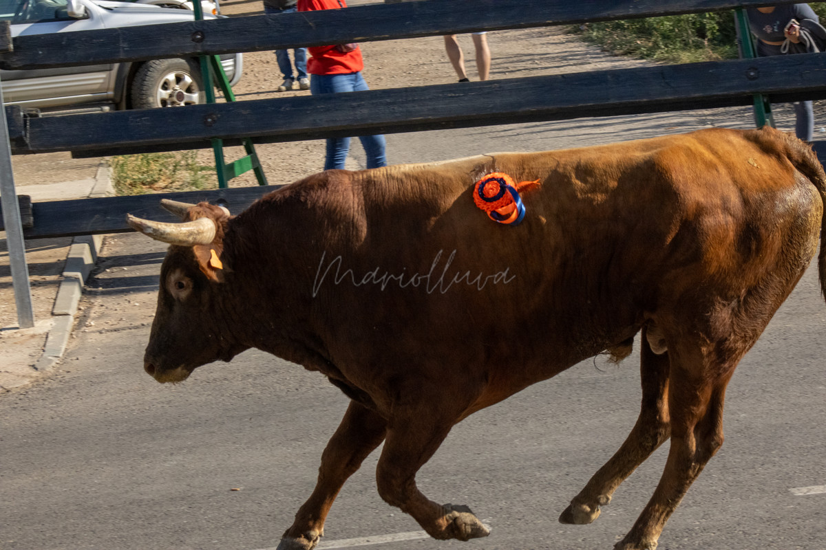 IMG_0405