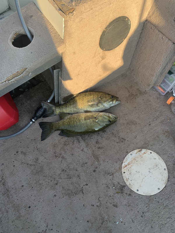 DED69DB2-6148-4734-8C81-FF62CEBDA3F1