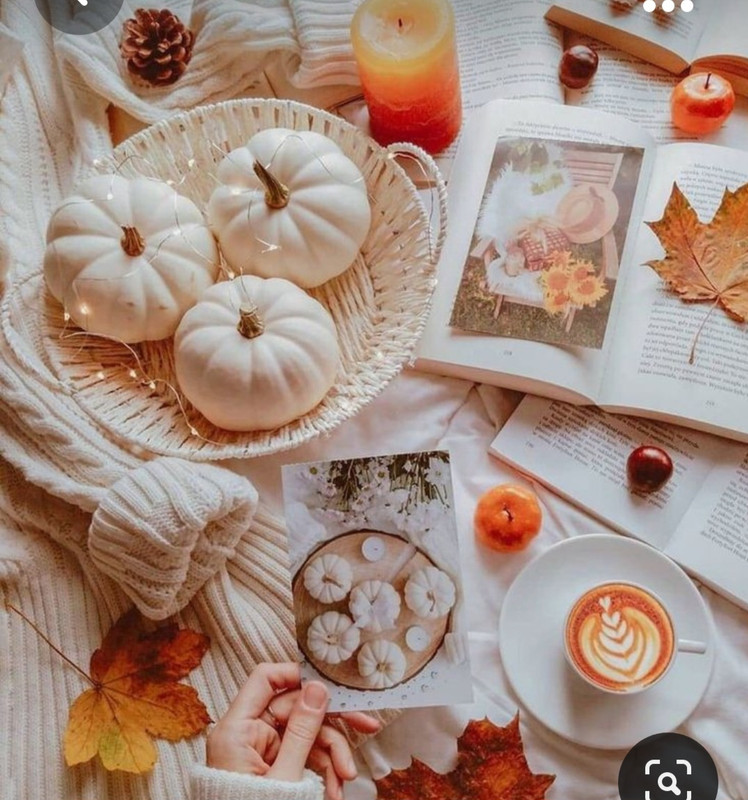 Screenshot_20230923_001954_Pinterest