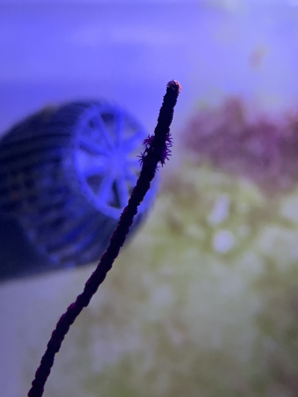 C6E61B18-6C48-4EF9-886A-FBA2E0B55798