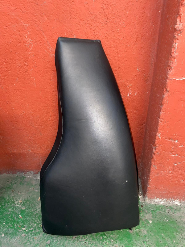 Oreja-Izq.jpg
