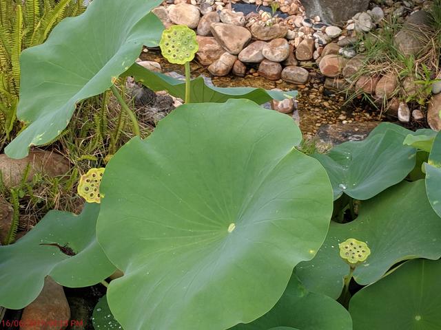 [Image: IMG-20190616-201149.jpg]