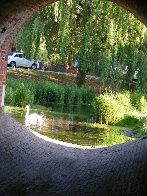 Culvert-HD.jpg