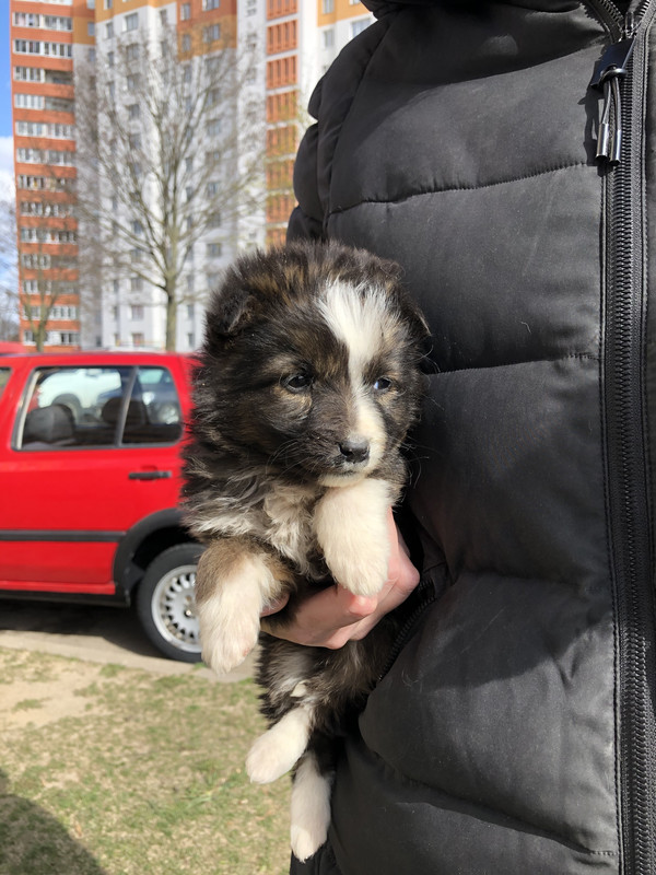 3291E4DC-1D63-43F1-AD56-8E7B1BA25426