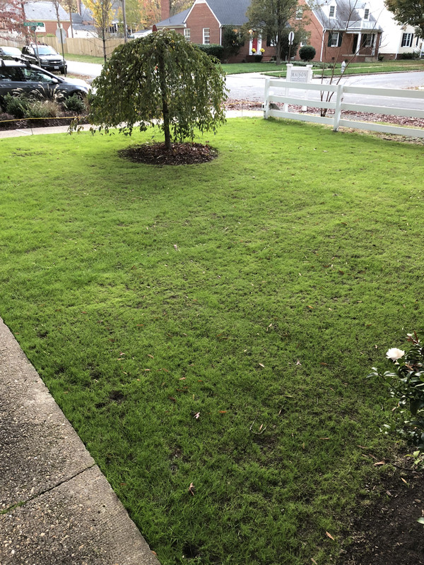 8B9C83DD-AC17-477C-B46F-3C3791C556ED