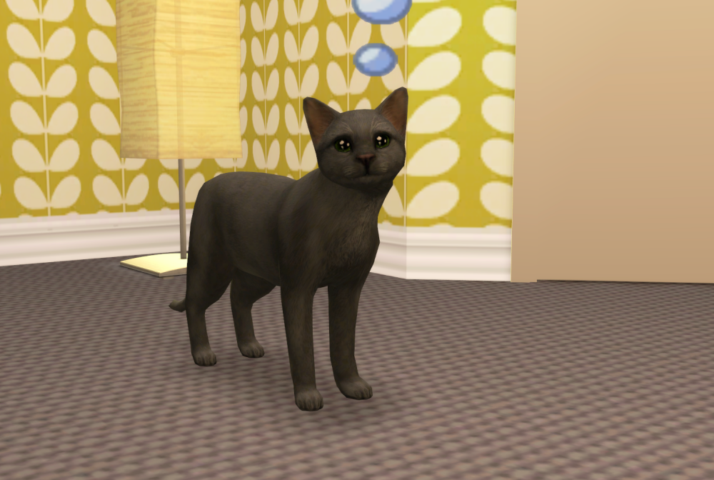 Sims2-EP9-RPC-2021-08-06-22-48-12-51