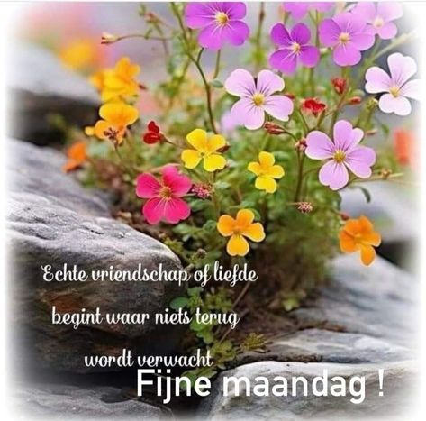 500b239206bb7bd9e92694bd9c89e768