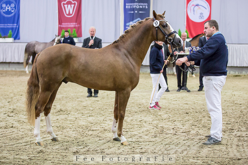 © Fee Fotografie