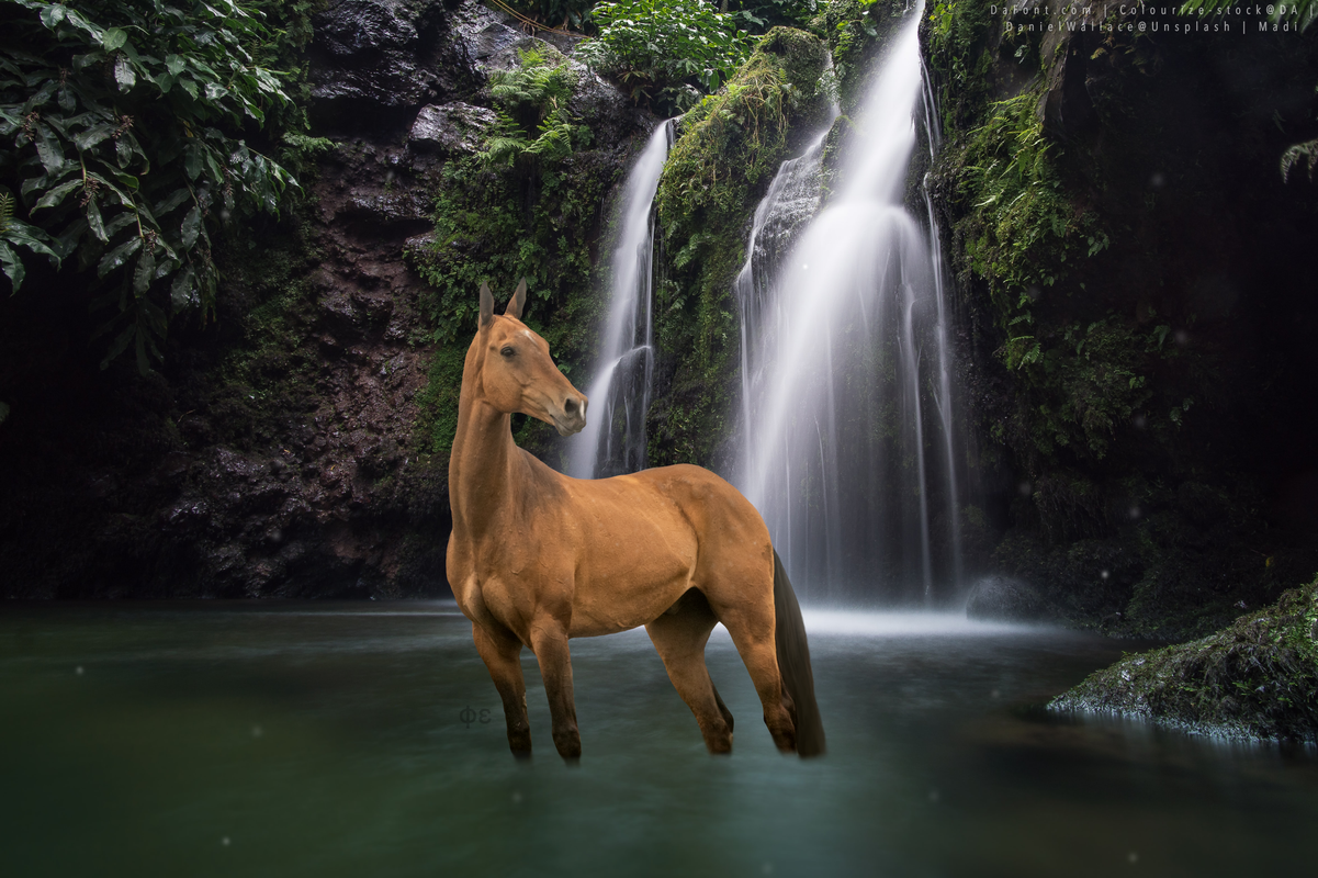 0C39AF4C-16D7-43C6-B935-5A5B96246895