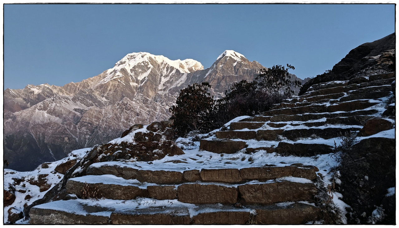 MH día 4: High Camp (3543 m) a Badal Danda (3365 m) - Trekking en Nepal: Annapurna Circuit y Mardi Himal (3)