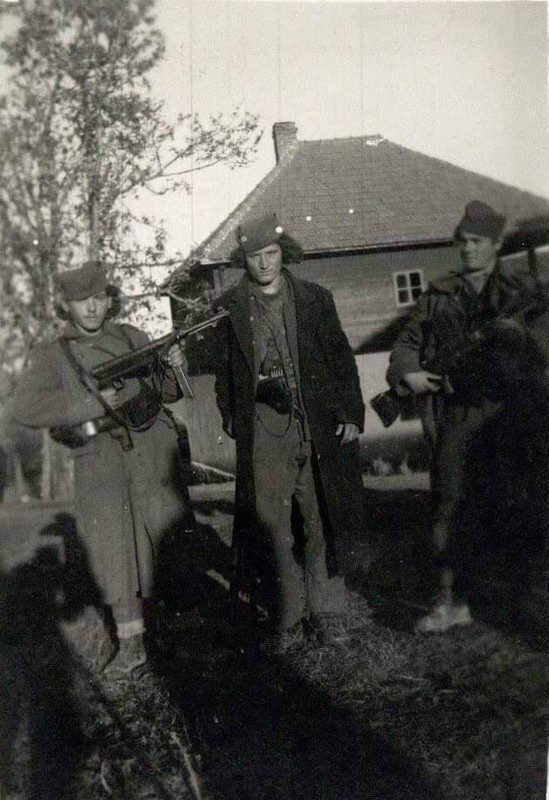 [Слика: 490855084-3993430997597399-4152326520903580004-n.jpg]