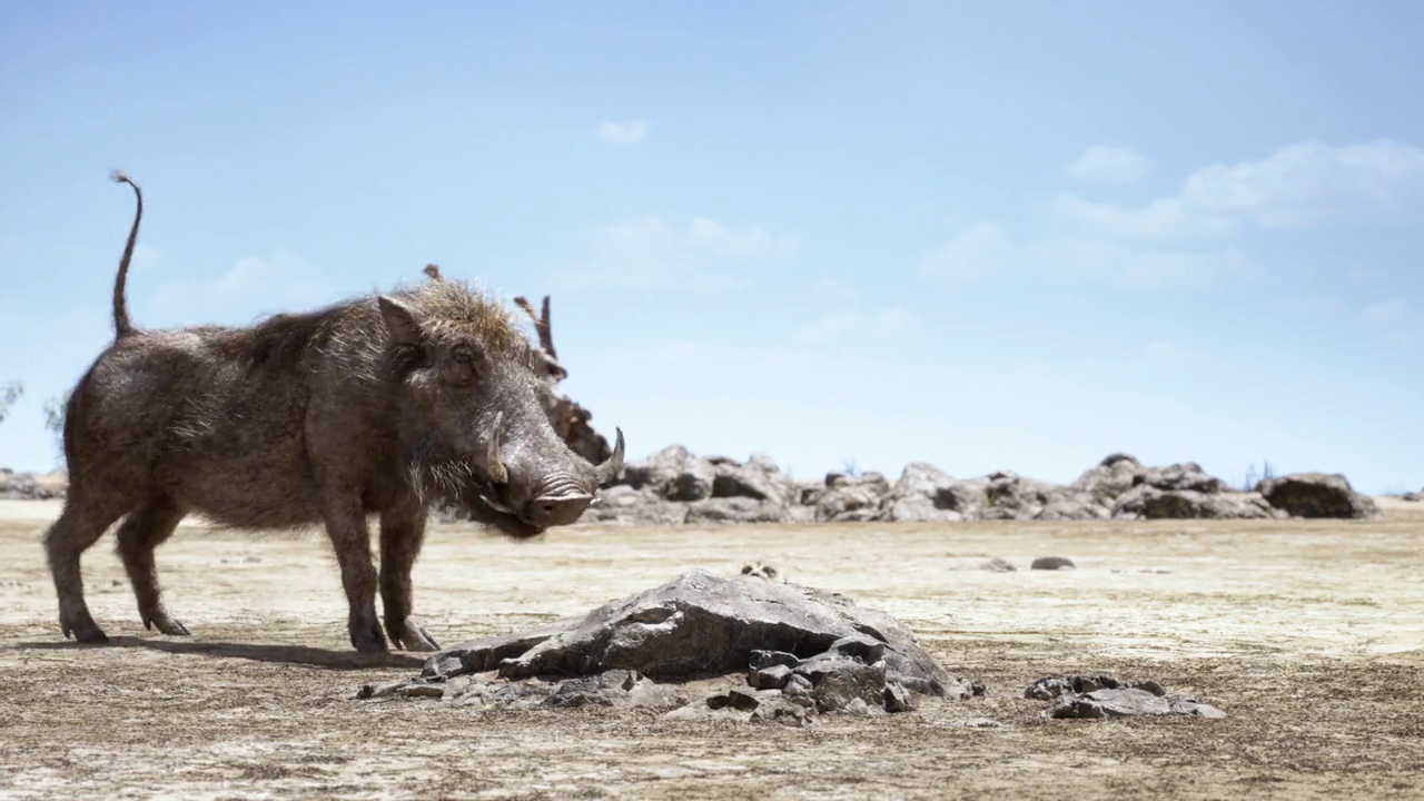 300mbunited.me--00008