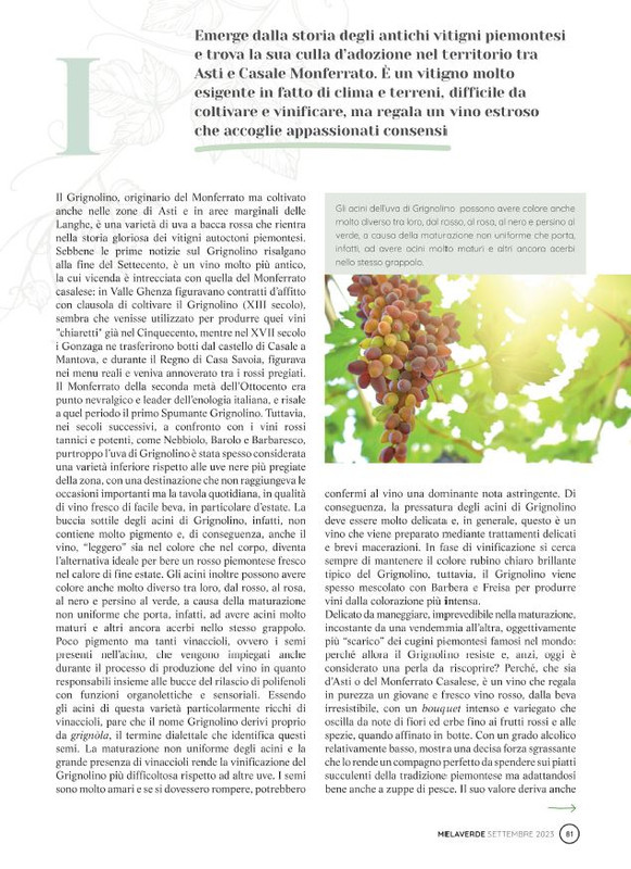 melaverde Set 2023 (12)