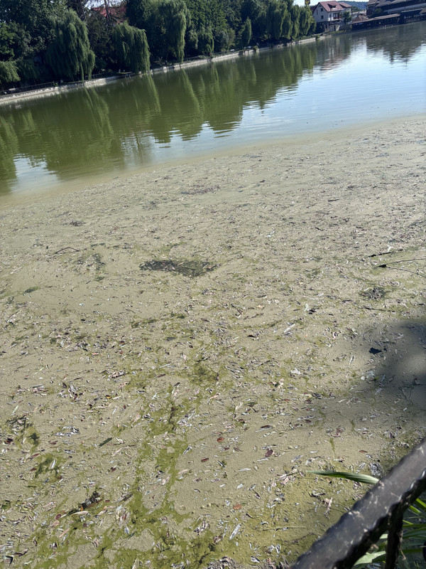 Lacul din Câmpina - imagine reprezentativă
