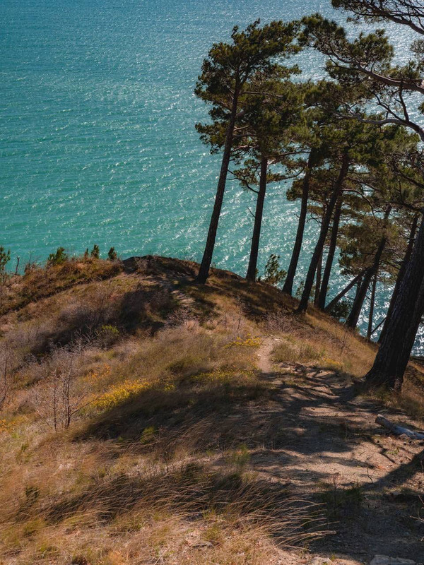 IMG_20250324_090915_212