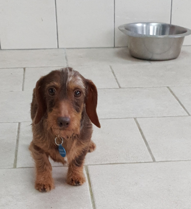 [Image: 20220201-200820.jpg]