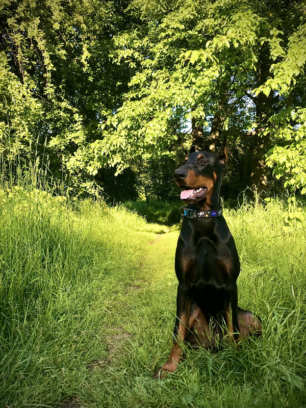 E2AC6635-CC3F-43E5-9A8E-91058BF64D48