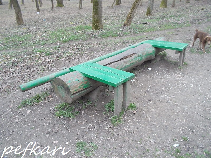 Slika