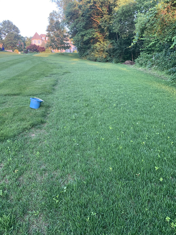 Photo Jun 15, 8 25 45 PM