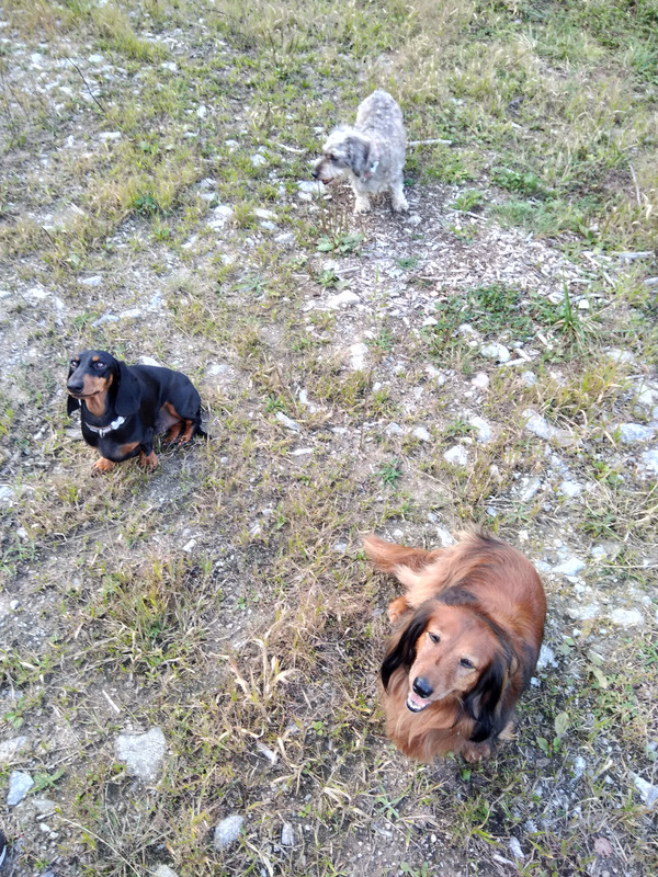 [Image: IMG-20210912-185010.jpg]