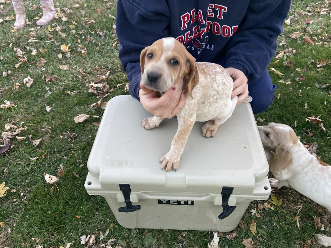 5E94C88B-F19A-41FA-87AF-18E3C0DB8C6E