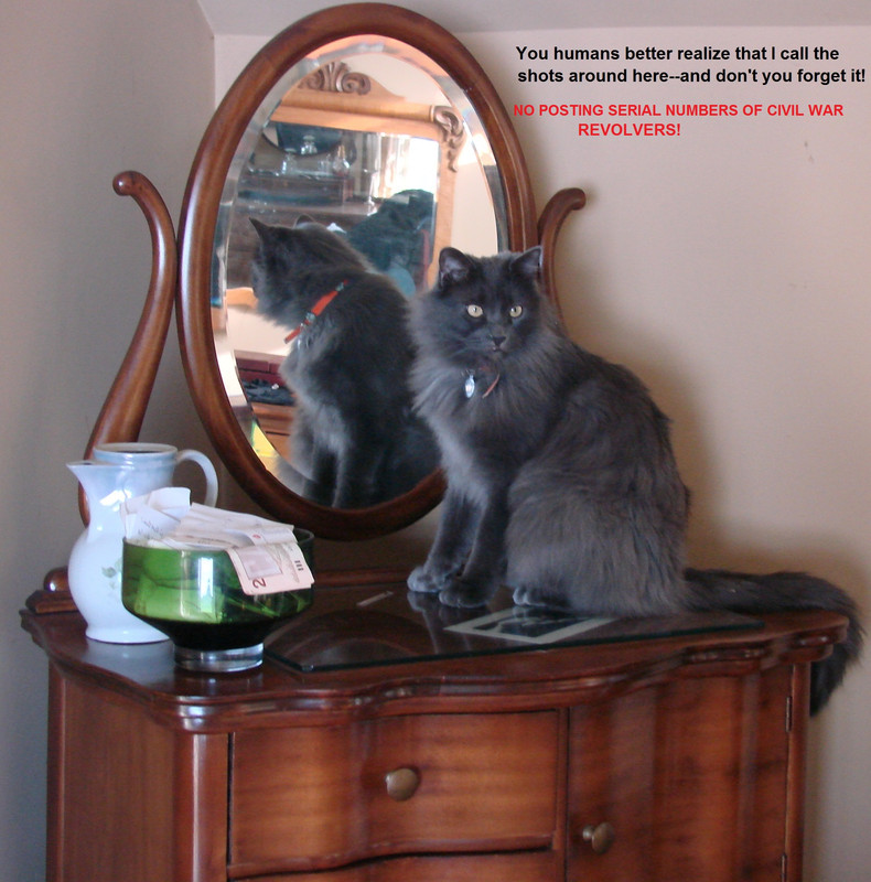 The King is speaking