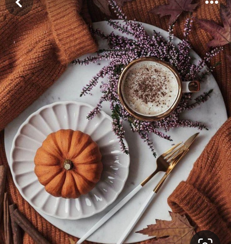 Screenshot_20230909_232649_Pinterest