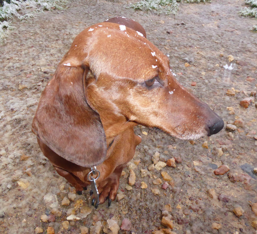 [Image: P1010893.jpg]